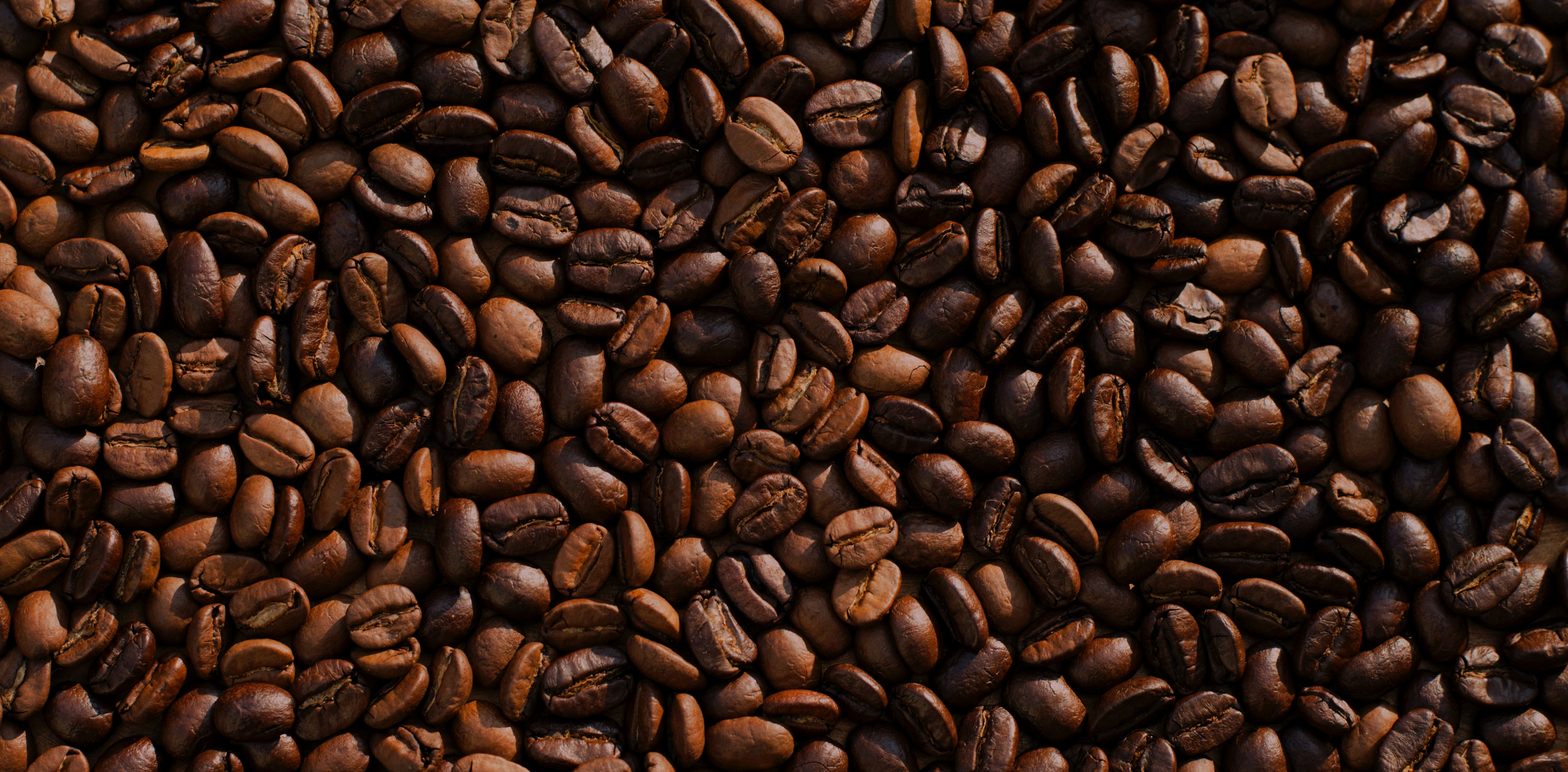 mike-kenneally-TD4DBagg2wE-unsplash-1-1 (1)